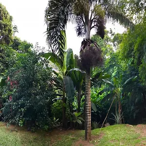 La Nature Apartment Au Cap